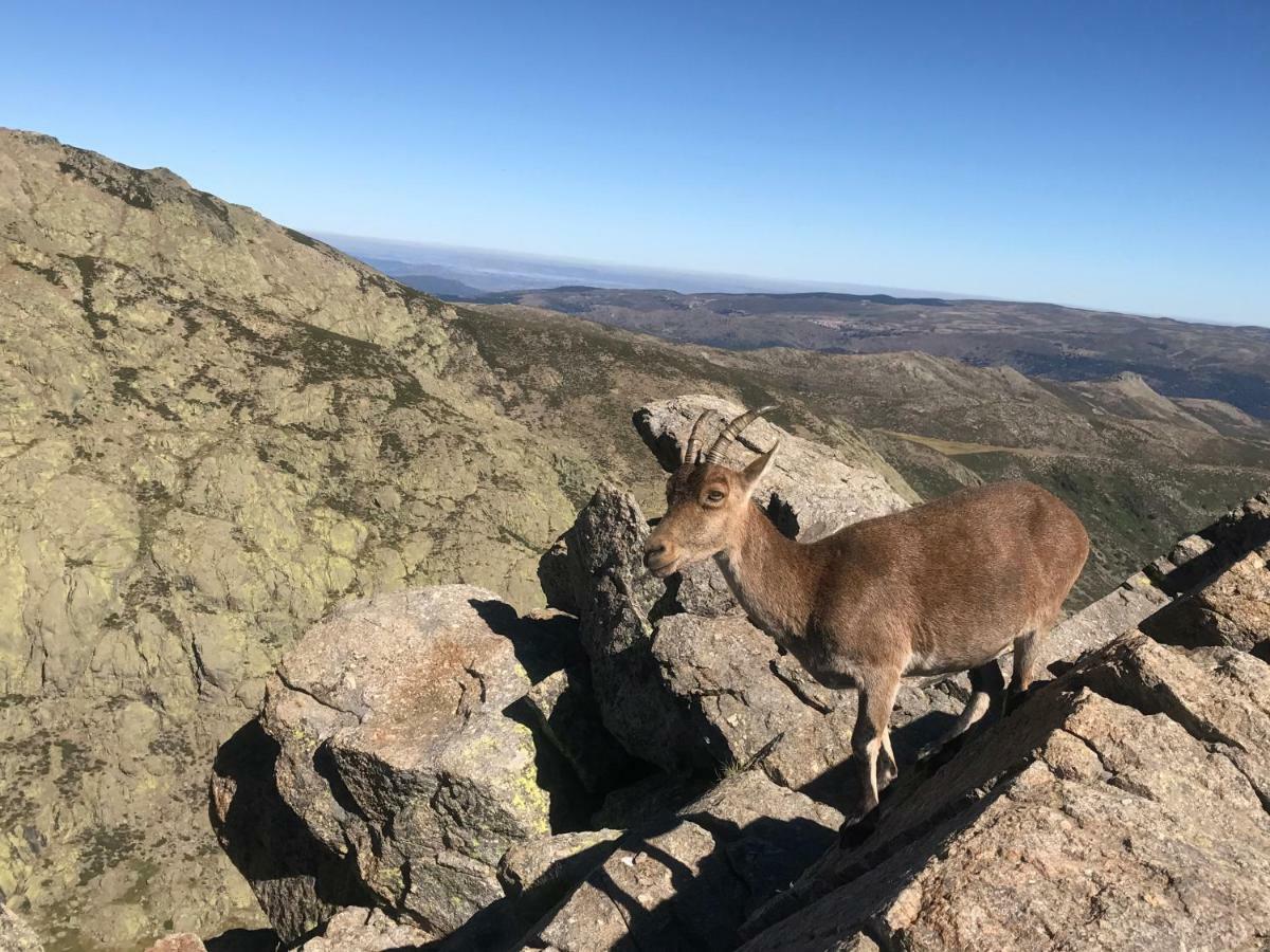 Villa El Llano - El Hornillo, Tu Pueblo En La Sierra De Gredos. Esterno foto
